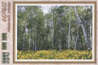 Лесные красавицы, 134х194 см