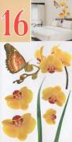 Стикер №16 Жёлтые орхидеи