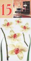 Стикер №15 Белые орхидеи
